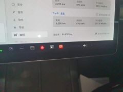 Tesla Model Y Long Range All-Wheel Drive - ფოტო 12