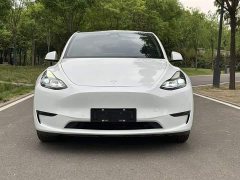 Tesla Model Y Long Range All-Wheel Drive - ფოტო 3