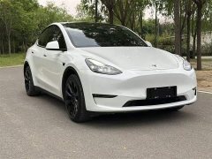 Tesla Model Y Long Range All-Wheel Drive - ფოტო 4