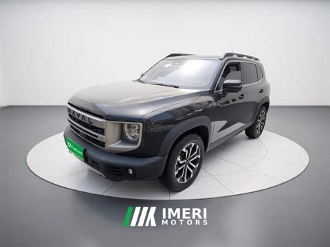 2023 Great Wall Dachshund 2024 1.5T DCT Border Collie Edition - ავტომობილი ჩინეთიდან