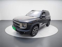 Great Wall Dachshund 2024 1.5T DCT Border Collie Edition - ფოტო 2