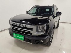 Great Wall Dachshund 1.5T DCT Border Collie Edition - ფოტო 1