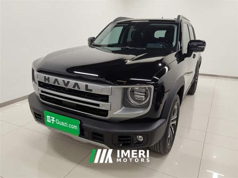 2024 Great Wall Dachshund 1.5T DCT Border Collie Edition - ავტომობილი ჩინეთიდან