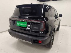 Great Wall Dachshund 1.5T DCT Border Collie Edition - ფოტო 5