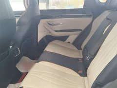 BYD Song Plus New Energy 2021 EV Premium - ფოტო 17