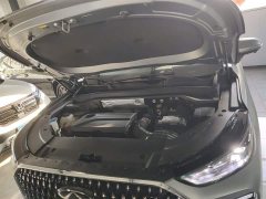 Chery Tiggo 8L 2.0T FWD Luxury 5-Seater - ფოტო 16