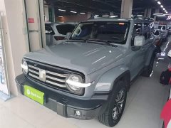 Tank 300 2021 City Edition 2.0T Stylish - ფოტო 2