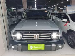 Tank 300 2021 City Edition 2.0T Stylish - ფოტო 3