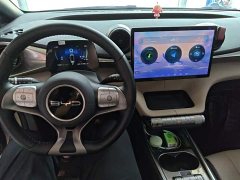 BYD Dolphin 2023 420km Fashion Edition - ფოტო 10