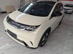BYD Dolphin 2023 420km Fashion Edition - ფოტო 2