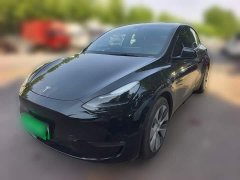 Tesla Model Y 2021 Standard Range RWD - ფოტო 2