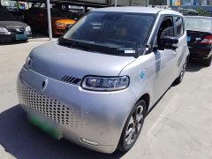 ORA White Cat 2020 401km Range Top Edition - ფოტო 1