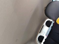 ORA White Cat 2020 401km Range Top Edition - ფოტო 18
