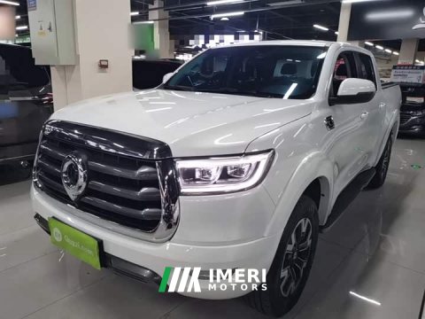2022 Ora Cannon 2021 2.0T Passenger Global Edition Automatic Gasoline 2WD Comfort Standard Box GW4C20B - ავტომობილი ჩინეთიდან