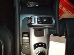 Ora Cannon 2021 2.0T Passenger Global Edition Automatic Gasoline 2WD Comfort Standard Box GW4C20B - ფოტო 14