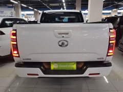 Ora Cannon 2021 2.0T Passenger Global Edition Automatic Gasoline 2WD Comfort Standard Box GW4C20B - ფოტო 6