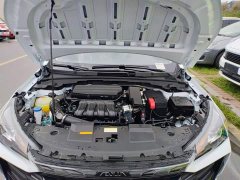 Dongfeng Yixuan 2025 1.5L Automatic Luxury - ფოტო 20