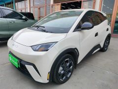 BYD Seagull 305km Freedom Edition - ფოტო 1
