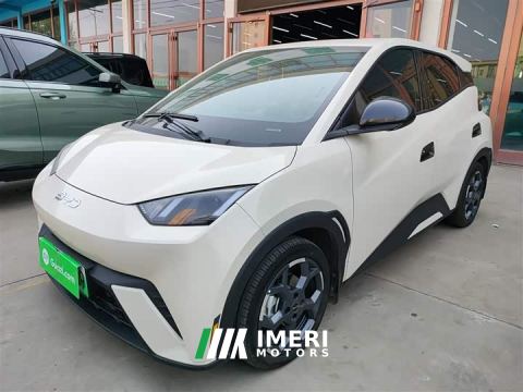 2025 BYD Seagull 305km Freedom Edition