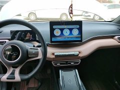 BYD Seagull 305km Freedom Edition - ფოტო 13