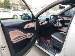 BYD Seagull 305km Freedom Edition - ფოტო 16