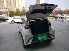 BYD Seagull 305km Freedom Edition - ფოტო 19