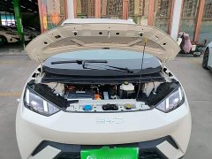 BYD Seagull 305km Freedom Edition - ფოტო 20