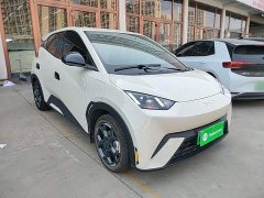 BYD Seagull 305km Freedom Edition - ფოტო 4
