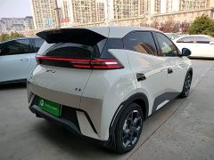 BYD Seagull 305km Freedom Edition - ფოტო 7