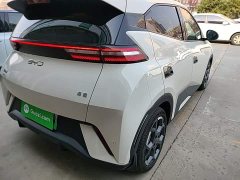 BYD Seagull 305km Freedom Edition - ფოტო 8