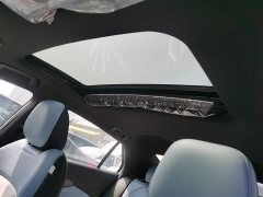 Trumpchi Shadow Leopard 2023 Shadow Leopard H High-Performance Hybrid Edition - ფოტო 8