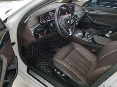 BMW 5 Series 530Li Luxury Edition Premium Package - ფოტო 16