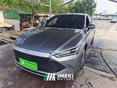 2023 BYD Qin PLUS Champion Edition DM-i 55KM Exceed - ავტომობილი ჩინეთიდან