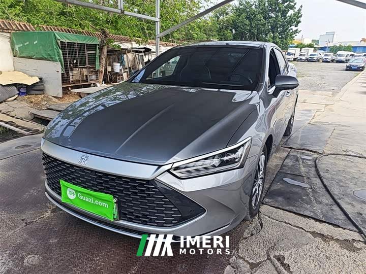 BYD Qin PLUS Champion Edition DM-i 55KM Exceed