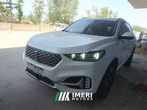 2021 Great Wall WEY VV6 2.0T AWD Smart Pilot - ავტომობილი ჩინეთიდან