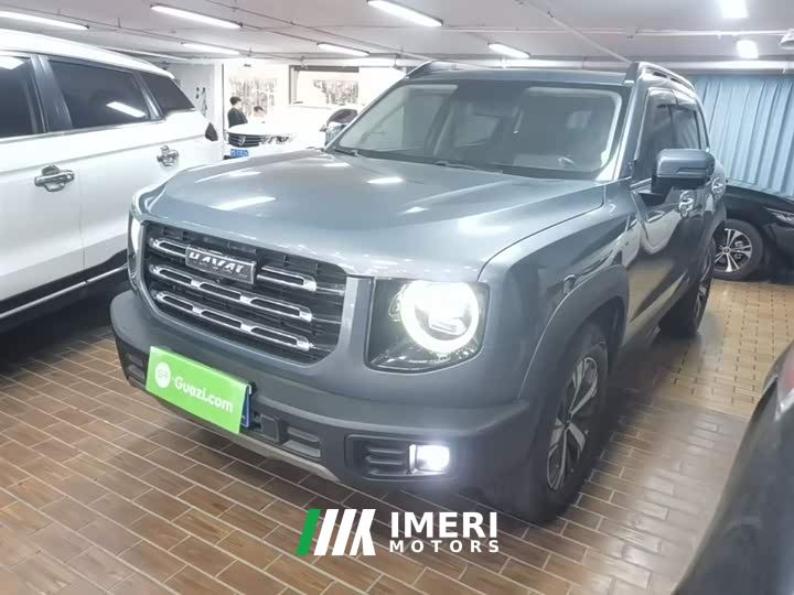 Great Wall Dachshund 1.5T DCT Two-Wheel Drive Labrador Edition