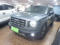 Great Wall Dachshund 1.5T DCT Two-Wheel Drive Labrador Edition - ფოტო 1