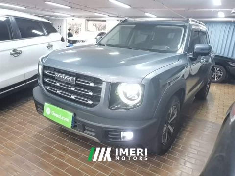 2021 Great Wall Dachshund 1.5T DCT Two-Wheel Drive Labrador Edition - ავტომობილი ჩინეთიდან