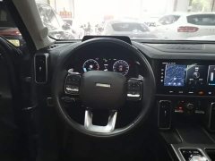 Great Wall Dachshund 1.5T DCT Two-Wheel Drive Labrador Edition - ფოტო 11