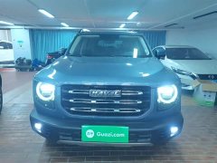 Great Wall Dachshund 1.5T DCT Two-Wheel Drive Labrador Edition - ფოტო 3