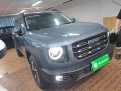 Great Wall Dachshund 1.5T DCT Two-Wheel Drive Labrador Edition - ფოტო 4