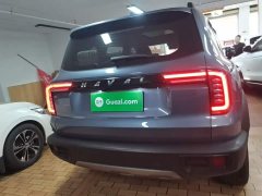 Great Wall Dachshund 1.5T DCT Two-Wheel Drive Labrador Edition - ფოტო 6