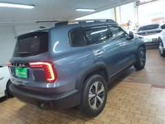 Great Wall Dachshund 1.5T DCT Two-Wheel Drive Labrador Edition - ფოტო 7