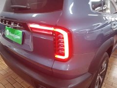 Great Wall Dachshund 1.5T DCT Two-Wheel Drive Labrador Edition - ფოტო 8