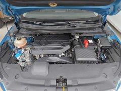 Geely Emgrand S 2021 1.4T CVT Luxury - ფოტო 19