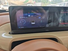 Wuling Binguo 2025 333km Joy Edition - ფოტო 12
