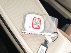 Wuling Binguo 2025 333km Joy Edition - ფოტო 9