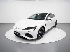 BYD Dolphin 700km Long Range Rear-Wheel Drive - ფოტო 1