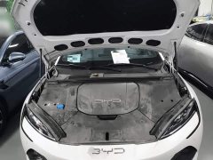 BYD Dolphin 700km Long Range Rear-Wheel Drive - ფოტო 20
