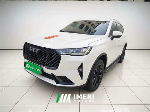 2021 Haval H6 Third Generation 2.0T Automatic Two-Wheel Drive Max - автомобиль из Китая